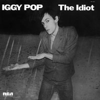 Iggy Idiot