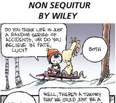 non-sequitur